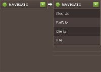 Website Drop Down Menus